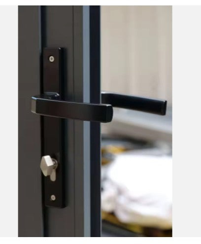 BT0110 - Aluminum Alloy Double Tempered Glass Swing Door